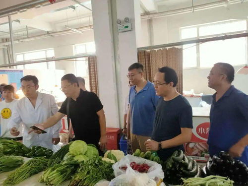 守護“舌尖上的安全”——區市場監管局開展食品安全宣傳周活動，聚焦食用農產品安全